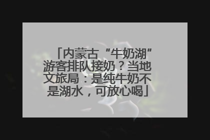 内蒙古“牛奶湖”游客排队接奶？当地文旅局：是纯牛奶不是湖水，可放心喝