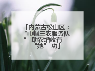 内蒙古松山区：“巾帼三农服务队” 助农增收有 “她” 功