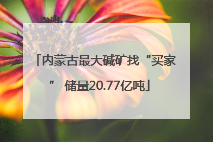 内蒙古最大碱矿找“买家” 储量20.77亿吨