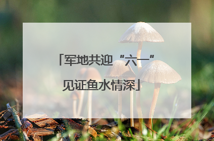 军地共迎“六一” 见证鱼水情深