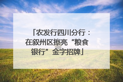 农发行四川分行：在叙州区擦亮“粮食银行”金字招牌
