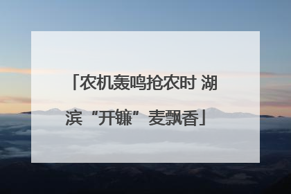 农机轰鸣抢农时 湖滨“开镰”麦飘香