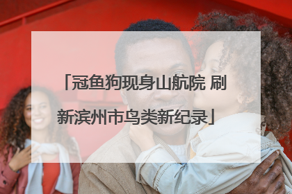 冠鱼狗现身山航院 刷新滨州市鸟类新纪录