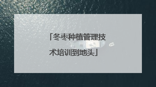 冬枣种植管理技术培训到地头
