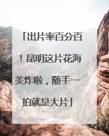 出片率百分百！昆明这片花海美炸啦，随手一拍就是大片