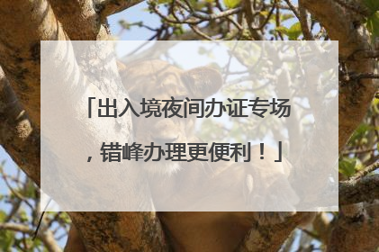 出入境夜间办证专场，错峰办理更便利！