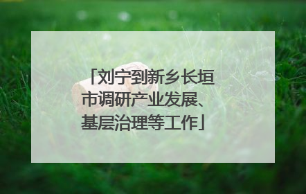 刘宁到新乡长垣市调研产业发展、基层治理等工作