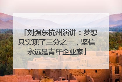 刘强东杭州演讲：梦想只实现了三分之一，坚信永远是青年企业家
