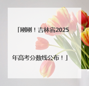 刚刚！吉林省2025年高考分数线公布！