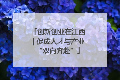 创新创业在江西｜促成人才与产业“双向奔赴”