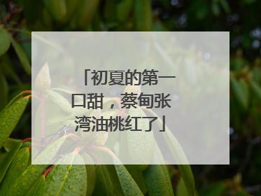 初夏的第一口甜，蔡甸张湾油桃红了