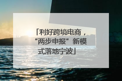 利好跨境电商，“两步申报”新模式落地宁波