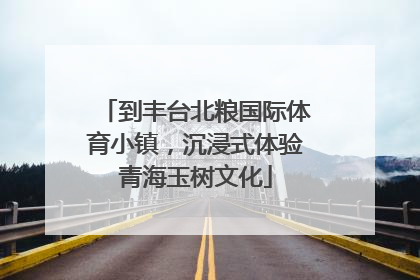 到丰台北粮国际体育小镇，沉浸式体验青海玉树文化
