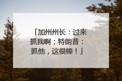 加州州长：过来抓我啊；特朗普：抓他，这很棒！