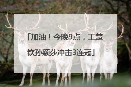 加油！今晚9点，王楚钦孙颖莎冲击3连冠