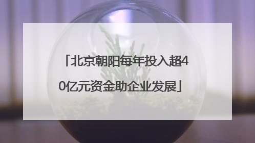 北京朝阳每年投入超40亿元资金助企业发展