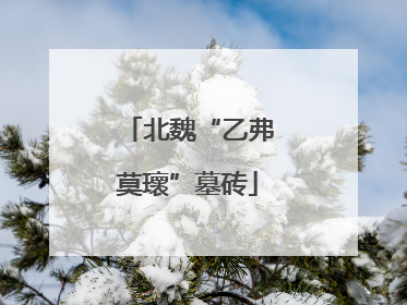 北魏“乙弗莫瓌”墓砖