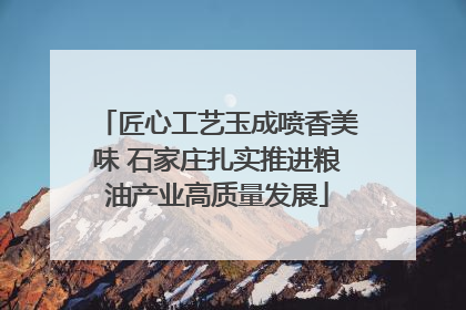 匠心工艺玉成喷香美味 石家庄扎实推进粮油产业高质量发展