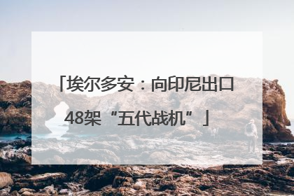 埃尔多安：向印尼出口48架“五代战机”