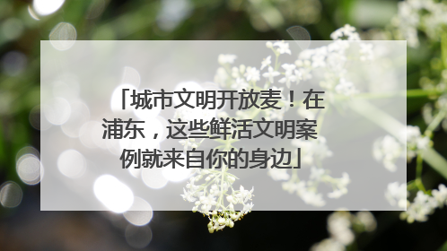 城市文明开放麦！在浦东，这些鲜活文明案例就来自你的身边