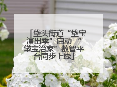 垡头街道“垡宝演出季”启动 “垡宝治家”数智平台同步上线