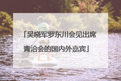 吴晓军罗东川会见出席青洽会的国内外嘉宾
