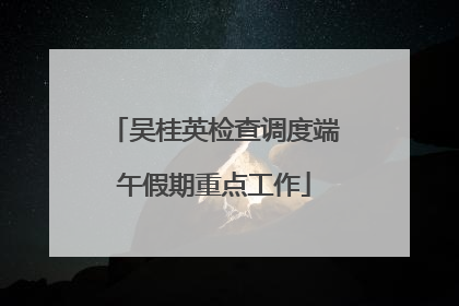 吴桂英检查调度端午假期重点工作