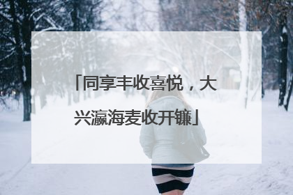 同享丰收喜悦，大兴瀛海麦收开镰