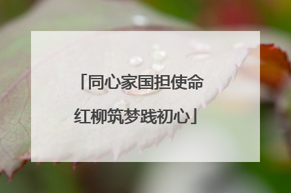 同心家国担使命 红柳筑梦践初心