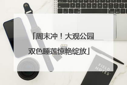 周末冲！大观公园双色睡莲惊艳绽放