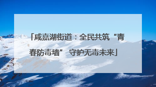 咸嘉湖街道：全民共筑“青春防毒墙” 守护无毒未来