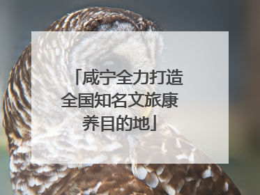 咸宁全力打造全国知名文旅康养目的地