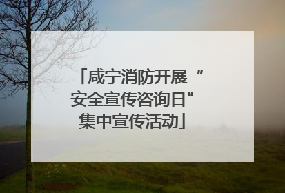咸宁消防开展“安全宣传咨询日”集中宣传活动