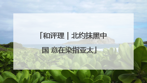 和评理｜北约抹黑中国 意在染指亚太