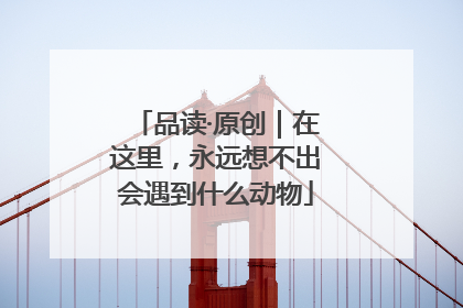 品读·原创｜在这里，永远想不出会遇到什么动物