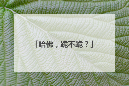 哈佛，跪不跪？