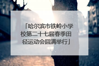 哈尔滨市铁岭小学校第二十七届春季田径运动会圆满举行