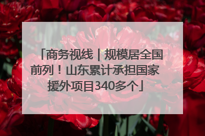 商务视线｜规模居全国前列！山东累计承担国家援外项目340多个