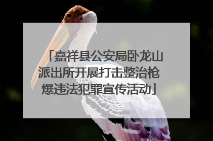嘉祥县公安局卧龙山派出所开展打击整治枪爆违法犯罪宣传活动
