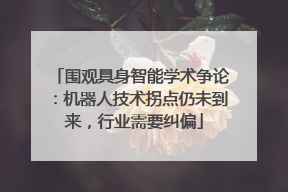 围观具身智能学术争论：机器人技术拐点仍未到来，行业需要纠偏