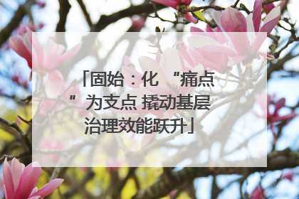 固始：化 “痛点”为支点 撬动基层治理效能跃升
