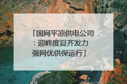 国网平凉供电公司：迎峰度夏齐发力 强网优供保运行