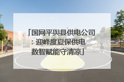 国网平舆县供电公司：迎峰度夏保供电  数智赋能守清凉