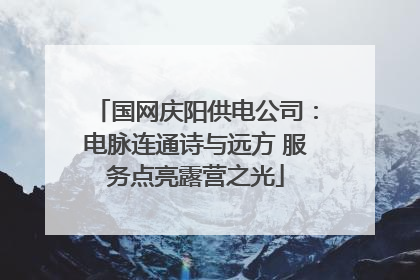 国网庆阳供电公司：电脉连通诗与远方 服务点亮露营之光