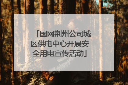 国网荆州公司城区供电中心开展安全用电宣传活动