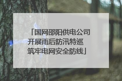 国网邵阳供电公司开展雨后防汛特巡 筑牢电网安全防线