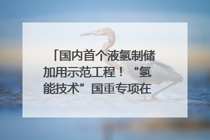 国内首个液氢制储加用示范工程！“氢能技术”国重专项在四川南充启动｜打赢经济发展翻身仗