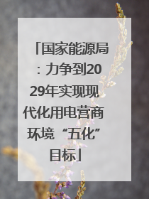国家能源局：力争到2029年实现现代化用电营商环境“五化”目标