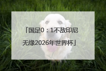 国足0：1不敌印尼 无缘2026年世界杯