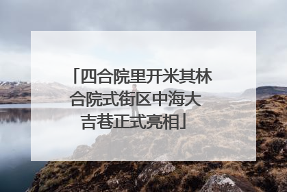 四合院里开米其林 合院式街区中海大吉巷正式亮相